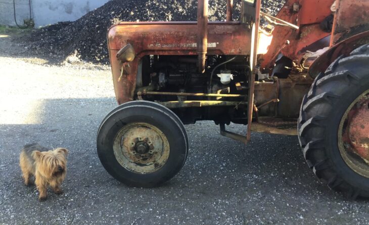 7 BB81 EA0 5998 4403 851 F F54 E08 DB9367